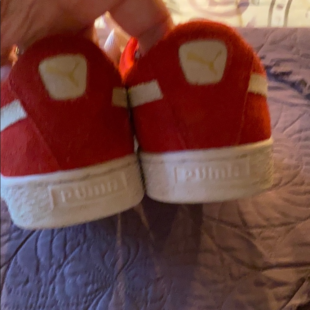 Red pumas - Picture 5 of 7